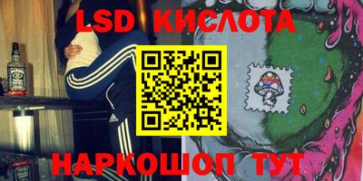 apvp Нальчик