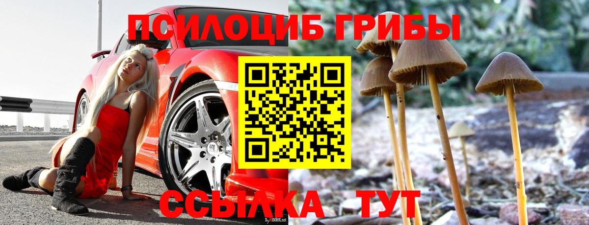 Тула  Галлюциногенные грибы Psilocybe  Вход с VPN 