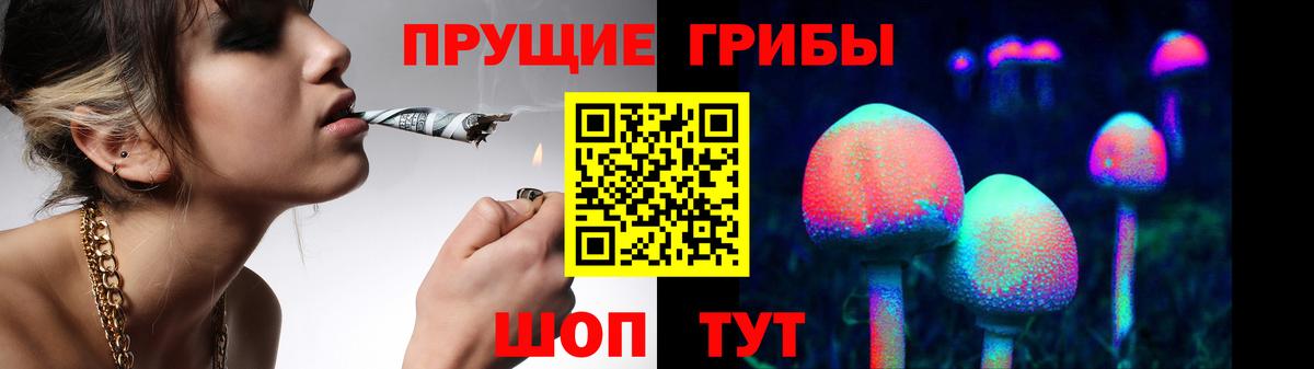 Галлюциногенные грибы Psilocybe Тула